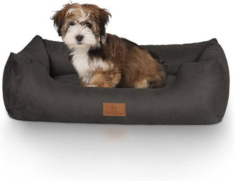 Knuffelwuff Hundebett Dreamline Velours Schwarz S 70 x 50 cm Allergikerfreundlich – Bild 1 von 4