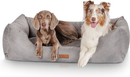 Knuffelwuff Hundebett Dreamline Velours XXL 120 x 85cm Grau allergikerfreundlich – Bild 1 von 2