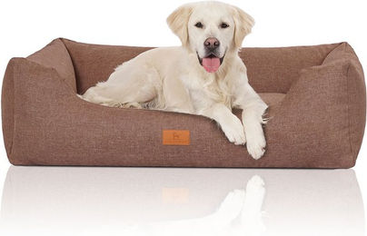 Knuffelwuff Hundebett Lotte Velours XXL Braun Beige für Hunde mit Gelenksupport – Bild 1 von 3