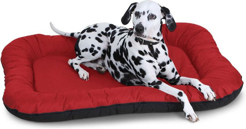 Produktbild von Knuffelwuff Hundebett Lucky Wasserfestes In und Outdoor Hundebett aus Nylon XXL 118 x 85cm Rot