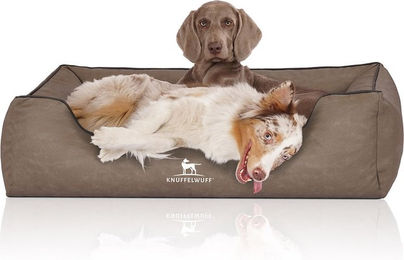 Knuffelwuff Hundebett Scottsdale aus Kunstleder für Riesenrassen Übergröße XXXL in Stone Clay – Bild 1 von 4