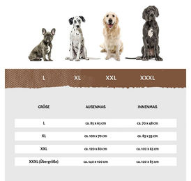 Produktbild von Knuffelwuff Hundebett Winslow Orthopädisch mit Memory Foam Grau