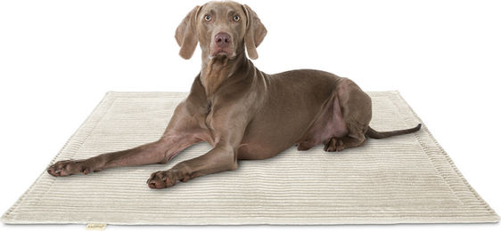 Knuffelwuff Hundedecke Timor aus Cord Beige 140x100cm – Bild 1 von 4