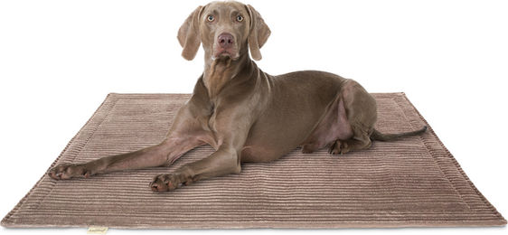 Knuffelwuff Hundedecke Timor aus Cord Braun 140x100cm – Bild 1 von 4