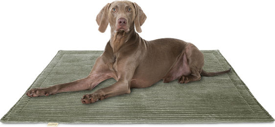 Knuffelwuff Hundedecke Timor aus Cord in Khaki/Beige/Braun/Grün – Bild 1 von 5