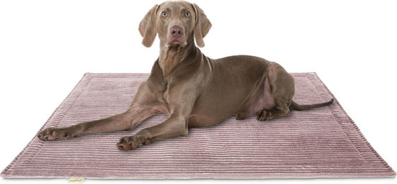 Knuffelwuff Hundedecke Timor aus Cord Rosa 80x60cm – Bild 1 von 3