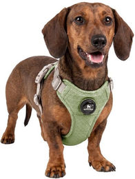 Knuffelwuff Hundegeschirr Magno mit Drehverschluss Grün Größe S – Bild 1 von 1