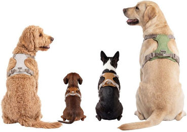 Knuffelwuff Hundegeschirr Magno mit verstellbaren Riemen und Drehverschluss – Bild 1 von 1