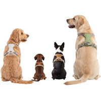 Produktbild von Knuffelwuff Hundegeschirr Magno mit verstellbaren Riemen und Drehverschluss