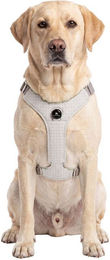Knuffelwuff Hundegeschirr Magno verstellbar mit Drehverschluss Grau XL – Bild 1 von 1