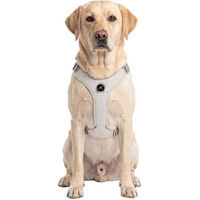 Produktbild von Knuffelwuff Hundegeschirr Magno verstellbar mit Drehverschluss Grau XL