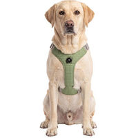 Produktbild von Knuffelwuff Hundegeschirr Magno verstellbar mit Drehverschluss Grün XL
