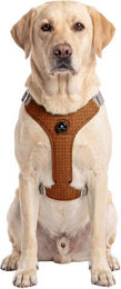 Knuffelwuff Hundegeschirr Magno verstellbar mit Drehverschluss XL Ocker – Bild 1 von 1