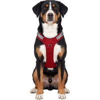 Produktbild von Knuffelwuff Hundegeschirr Trexor mit Haltegriff Rot Größe L
