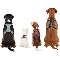 Produktbild von Knuffelwuff Hundegeschirr Trexor verstellbar mit Haltegriff