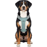 Produktbild von Knuffelwuff Hundegeschirr Trexor verstellbar mit Haltegriff Mintgrün Größe L