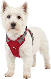 Knuffelwuff Hundegeschirr Trexor verstellbar mit Haltegriff Rot – Bild 1 von 1