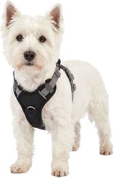Knuffelwuff Hundegeschirr Trexor verstellbar mit Haltegriff Schwarz – Bild 1 von 1