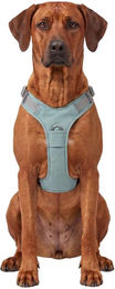 Knuffelwuff Hundegeschirr Trexor verstellbar mit Haltegriff XL Grün – Bild 1 von 1