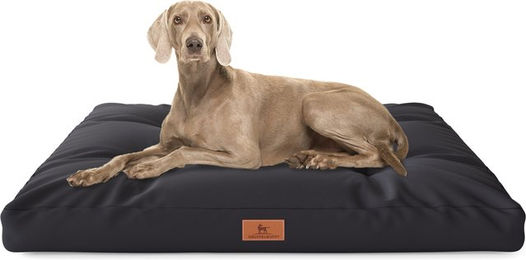 Knuffelwuff Hundekissen Gatsby aus Oxford-Gewebe Schwarz 75x50cm – Bild 1 von 6