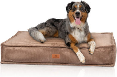Knuffelwuff Hundekissen Lesedi aus Cord in Braun Größe M-L – Bild 1 von 7