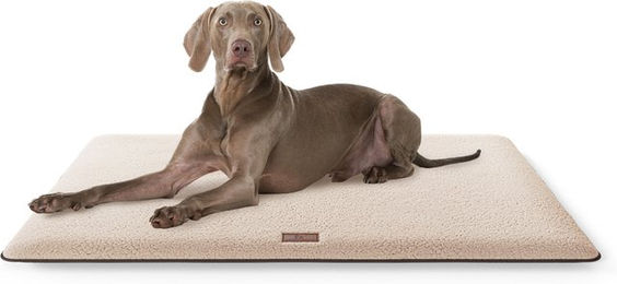 Knuffelwuff Hundematte Calliope aus Plüsch Beige Größe L – Bild 1 von 3