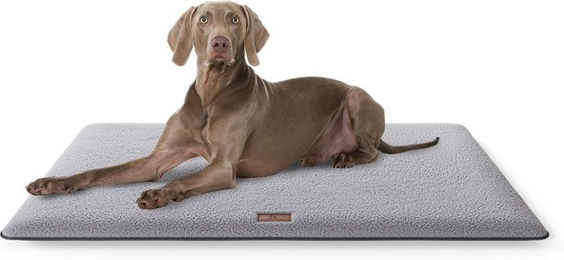 Knuffelwuff Hundematte Calliope aus Plüsch Grau Größe L – Bild 1 von 4