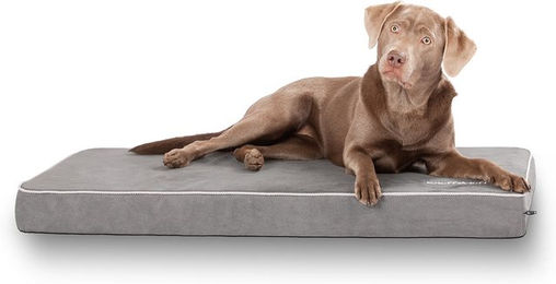 Produktbild von Knuffelwuff Hundematte Maui aus Velours in Grau mit 9cm Schaumstoff und OEKO-TEX Zertifizierung