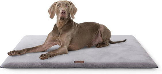 Knuffelwuff Hundematte Sunport aus Plüsch Grau Größe L – Bild 1 von 5