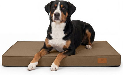 Produktbild von Knuffelwuff Jackson Orthopädische Outdoor Hundematte mit Memory Foam Braun 120 x 80cm