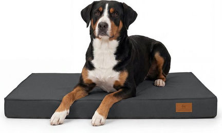 Knuffelwuff Jackson Orthopädische Outdoor Hundematte mit Memory Foam in Anthrazit 80 x 60cm – Bild 1 von 1