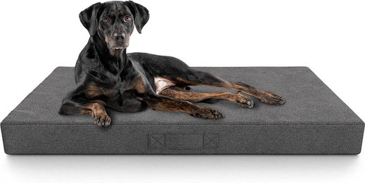 Produktbild von Knuffelwuff Lenie Orthopädische Inkontinenz Hundematte für Senioren aus Velours in Grau