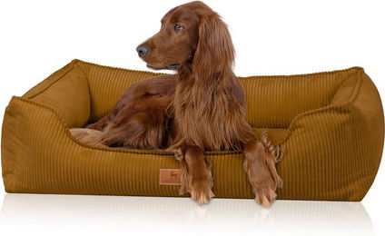 Knuffelwuff Nunavut Orthopädisches Hundebett aus Cord in Gelb Größe S 70 x 50cm – Bild 1 von 1