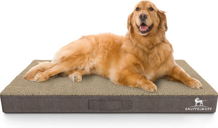 Knuffelwuff orthopädische Hundematte Ellenie aus Velours in Beige – Bild 1 von 5