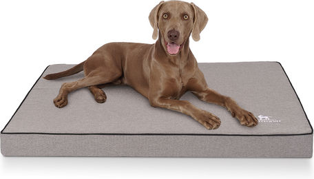 Produktbild von Knuffelwuff Orthopädische Hundematte Nantucket aus Velours in Grau zur Gelenkschonung