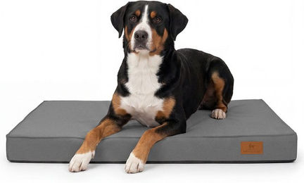 Knuffelwuff Orthopädische Outdoor Hundematte Jackson mit Memory Foam Grau 100 x 70cm – Bild 1 von 1