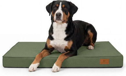 Knuffelwuff orthopädische Outdoor Hundematte mit Memory Foam Khaki 100 x 70cm – Bild 1 von 1