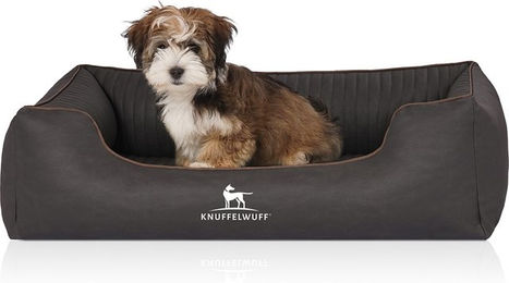Knuffelwuff Orthopädisches Hundebett Columbia aus Kunstleder Schwarz Größe L – Bild 1 von 4