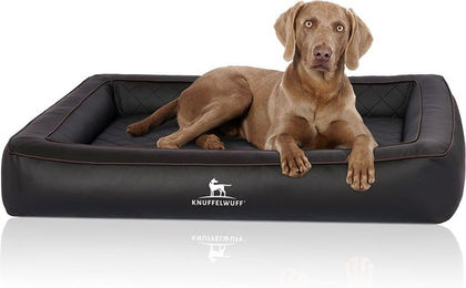 Knuffelwuff Orthopädisches Hundebett Hampstead aus Kunstleder Schwarz XL – Bild 1 von 4