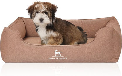 Knuffelwuff Orthopädisches Hundebett Leano aus Velours Braun Größe L – Bild 1 von 5