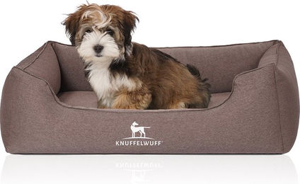 Knuffelwuff Orthopädisches Hundebett Leano aus Velours Braun Größe L – Bild 1 von 5