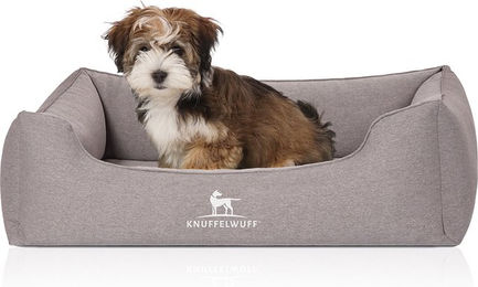 Knuffelwuff Orthopädisches Hundebett Leano aus Velours Grau Größe L – Bild 1 von 12