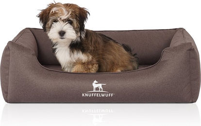 Knuffelwuff Orthopädisches Hundebett Leon aus Velours Graubraun Größe S 70 x 50cm Wasserabweisend – Bild 1 von 12