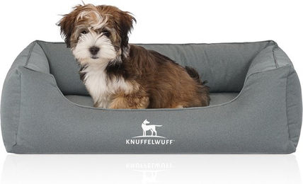 Knuffelwuff Orthopädisches Hundebett Leon aus Velours Größe L – Bild 1 von 12