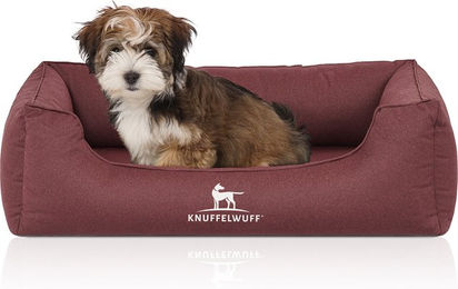 Knuffelwuff Orthopädisches Hundebett Leon aus Velours Rot Größe L – Bild 1 von 6