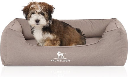 Knuffelwuff Orthopädisches Hundebett Leon aus Velours S 70 x 50cm Beige/Grau – Bild 1 von 12