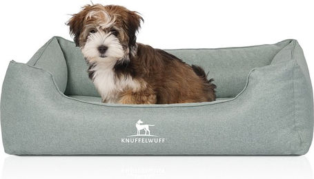 Knuffelwuff Orthopädisches Hundebett Luisa Velours Sunshine Edition Größe S – Bild 1 von 12