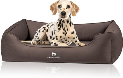 Knuffelwuff orthopädisches Hundebett Oliver XL Braun mit Memory Foam und Gelenkschonender Unterstützung – Bild 1 von 7