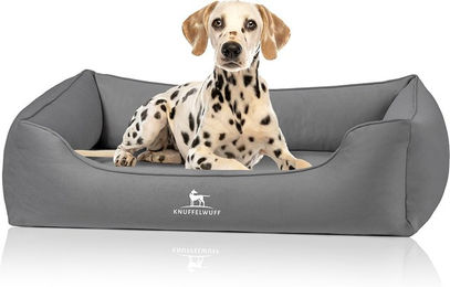 Knuffelwuff orthopädisches Hundebett Oliver XXL Grau mit Memory Foam und gelenkschonender Wildlederoptik – Bild 1 von 7