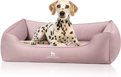 Knuffelwuff orthopädisches Hundebett Oliver XXL Rosa mit Memory Foam und Easy Clean Wildlederoptik – Bild 1 von 7